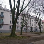 2014-11-21 11.52.27_1024x576